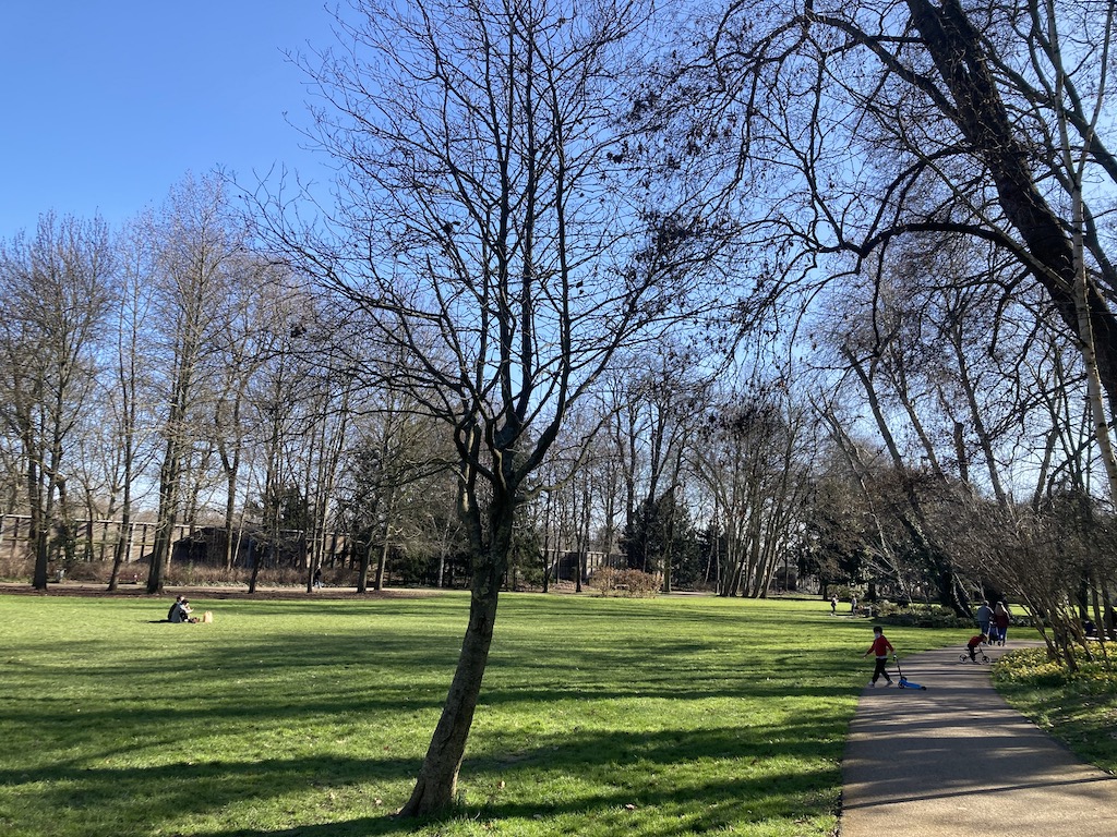 Castle Park Suresnes Green space